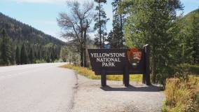 Yellowstone - 1